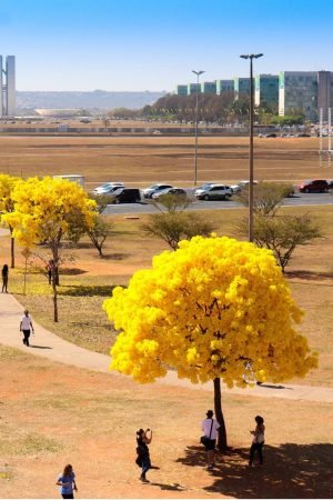 006-ESPLANADA DOS MINISTÉRIOS